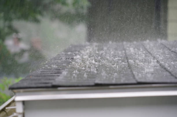 Best Rubber Roofing (EPDM, TPO)  in Williamston, MI